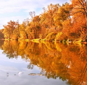 Autumn landscape featuring autumn, blue, and branch