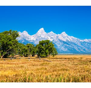 Grand Teton range behind grasslands