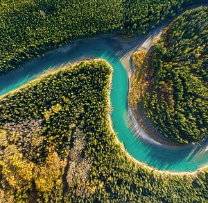 Aerial view. Banff National Park