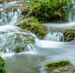 River flowing in green forest long containing forest, beautiful, and beauty