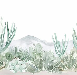 An American or Mexican desert