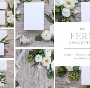 Fern - Invite Mock Up Bundle