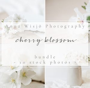 Cherry blossom | stock bundle containing stock photo, styled stock, and