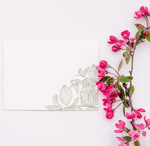 Spring stock 3 containing minimalist, stock, and photo