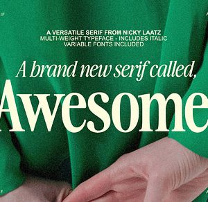 The Awesome Serif Family (32 Fonts)