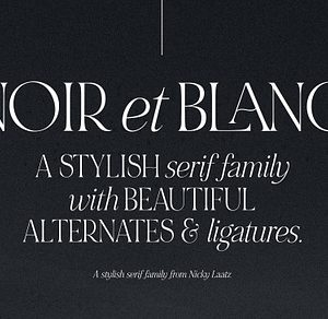 NOIR et BLANC Stylish Serif