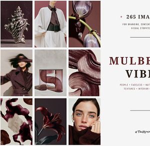 Mulberry Vibe | 265 Stock Images
