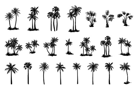 Hand drawn palm tree set