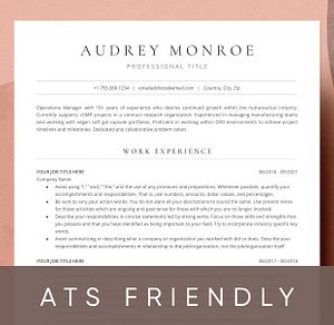 ATS Resume For Google Docs And Word