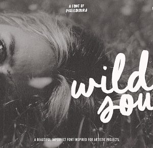 Script Brush Font Duo Wild Soul