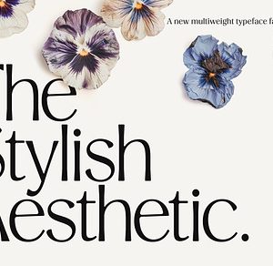 Stylish Aesthetic Typeface