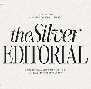 The Silver Editorial Serif Font