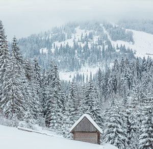 Winter Carpathian Mountains landscape.